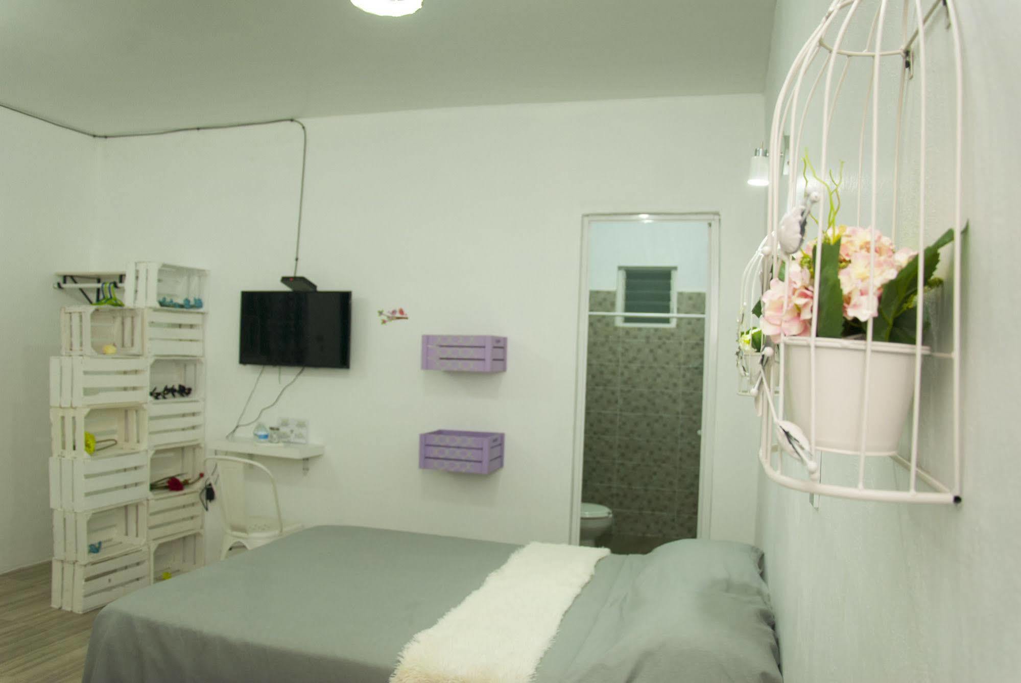 Hotel Karenina Oaxaca Zewnętrze zdjęcie